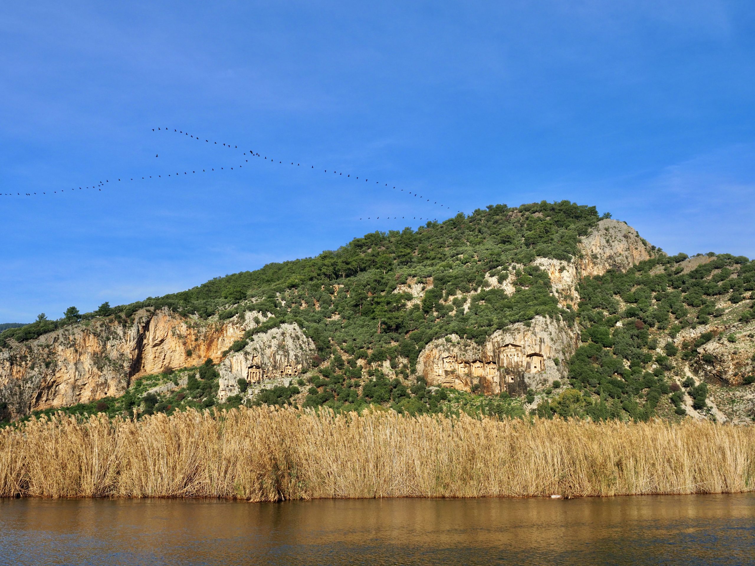 Dalyan