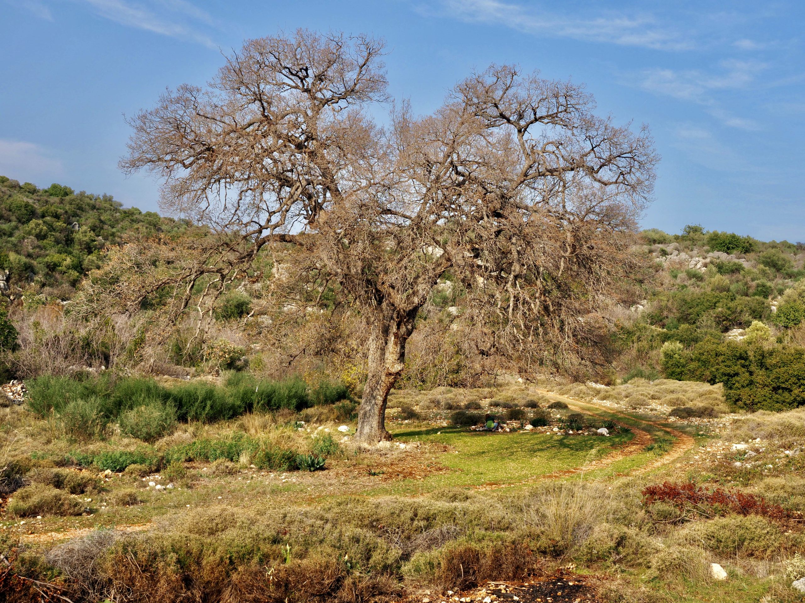 Akdeniz & Hinterland