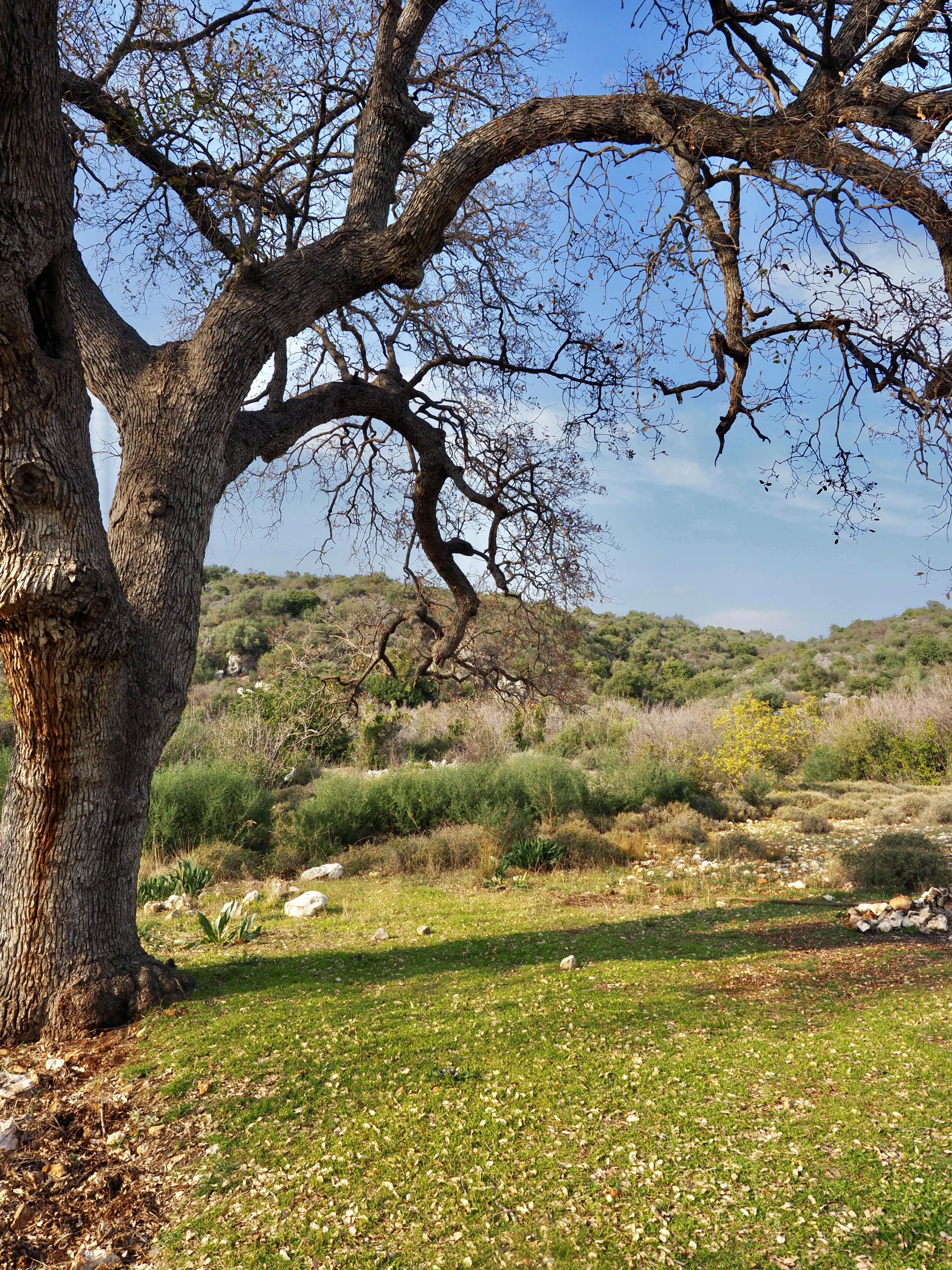 Akdeniz & Hinterland