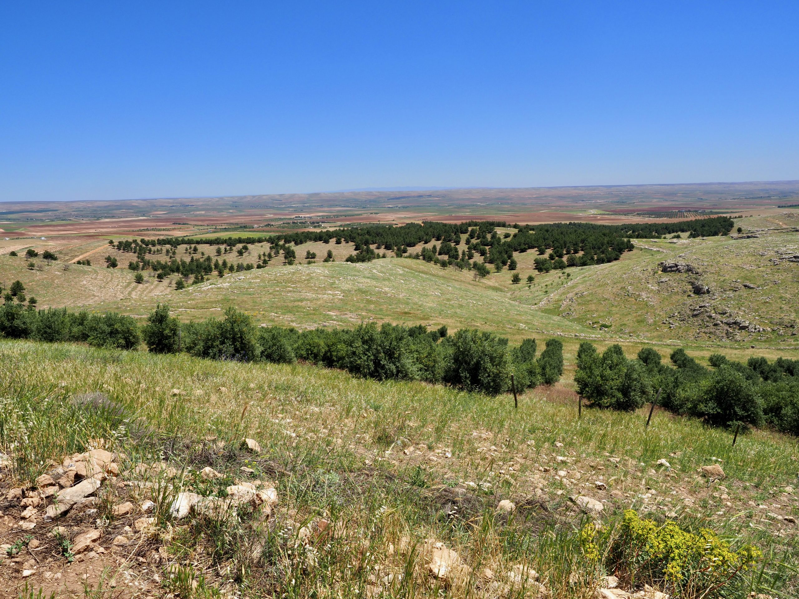 Göbeklitepe