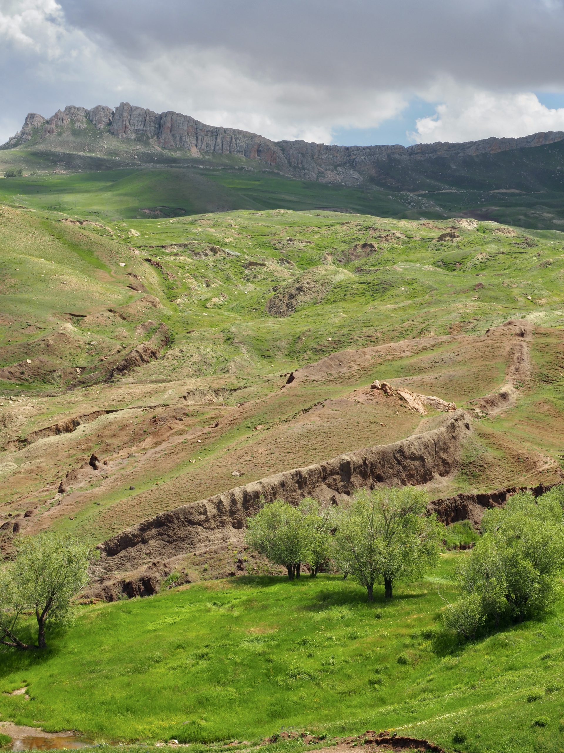 Ararat & Arche Noah