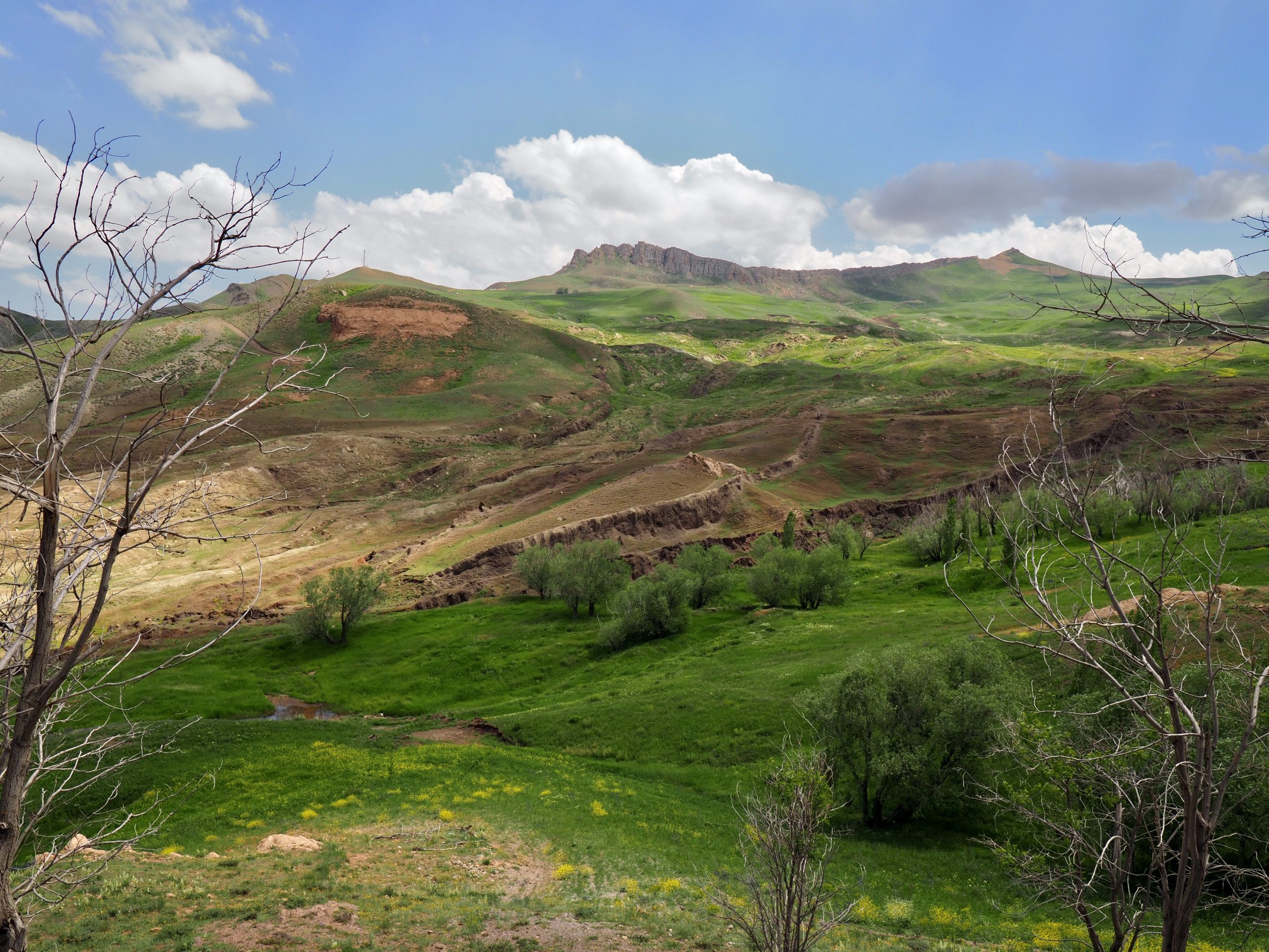 Ararat & Arche Noah