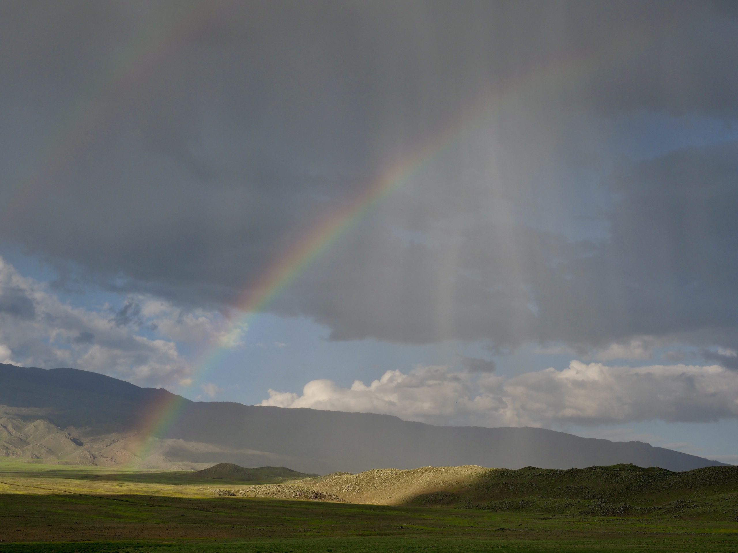 Ararat & Arche Noah