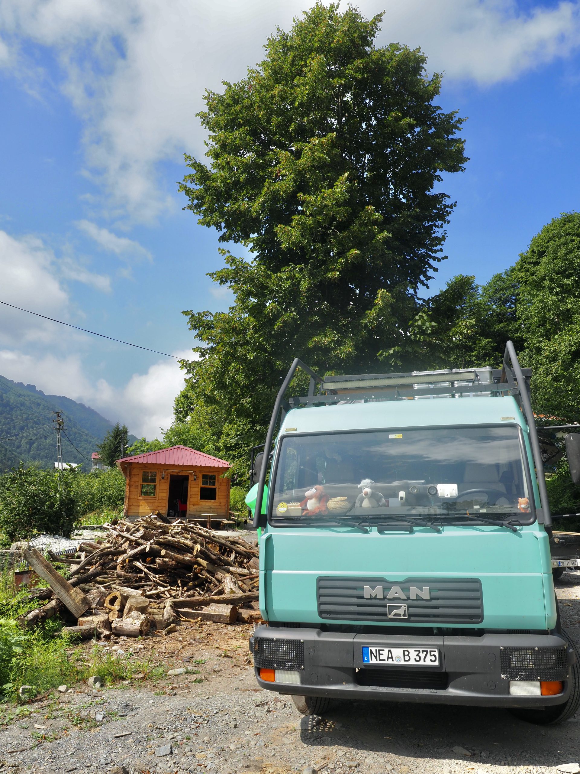 Teeplantage Bei Artvin