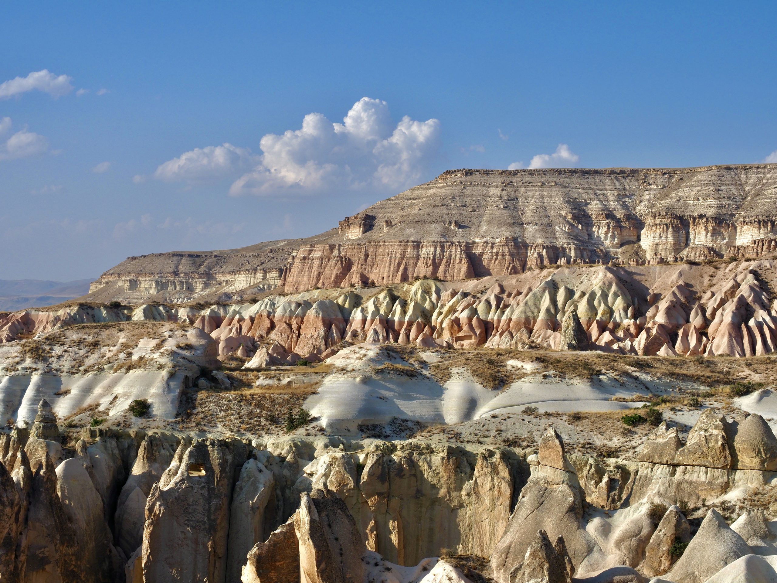 Red & Rose Valley