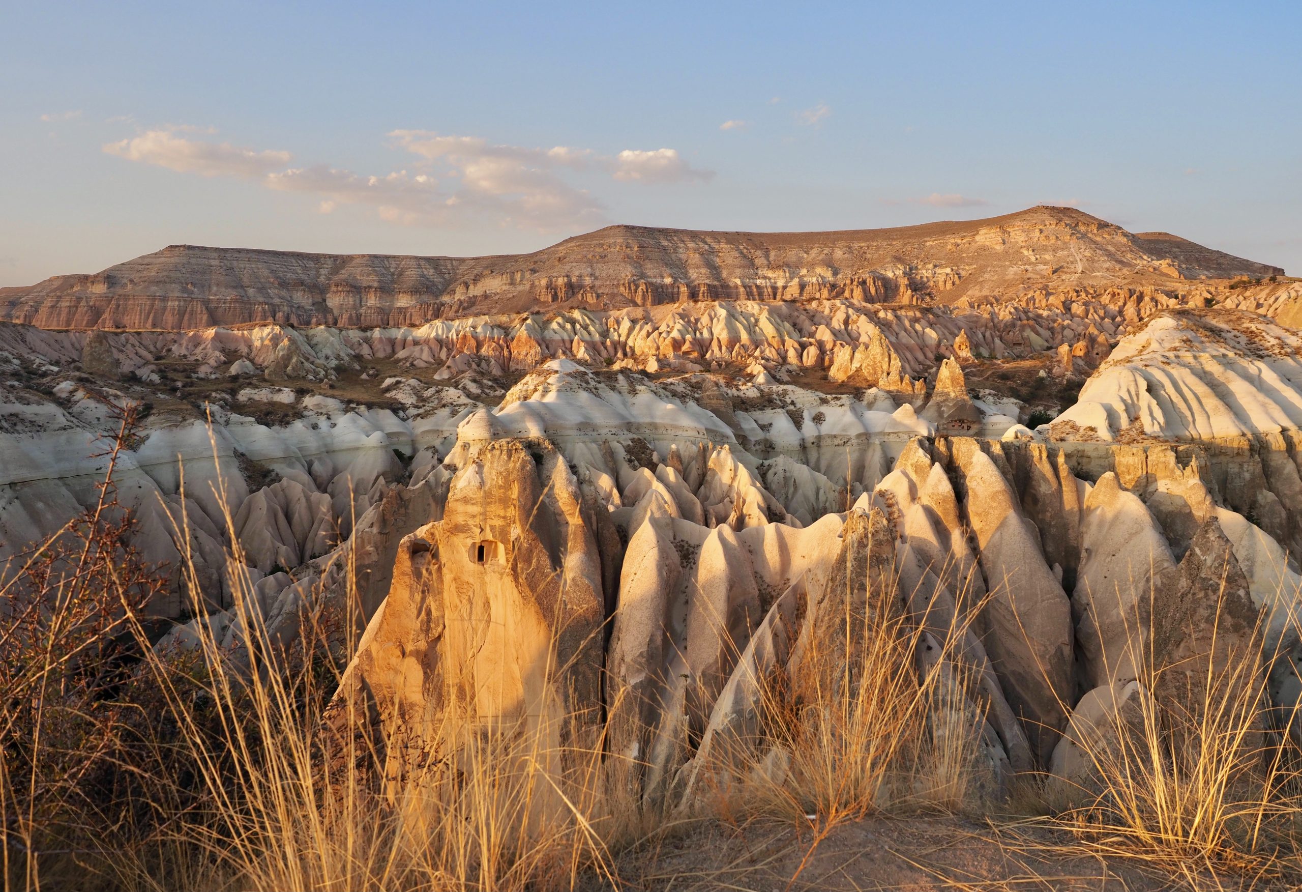 Red & Rose Valley