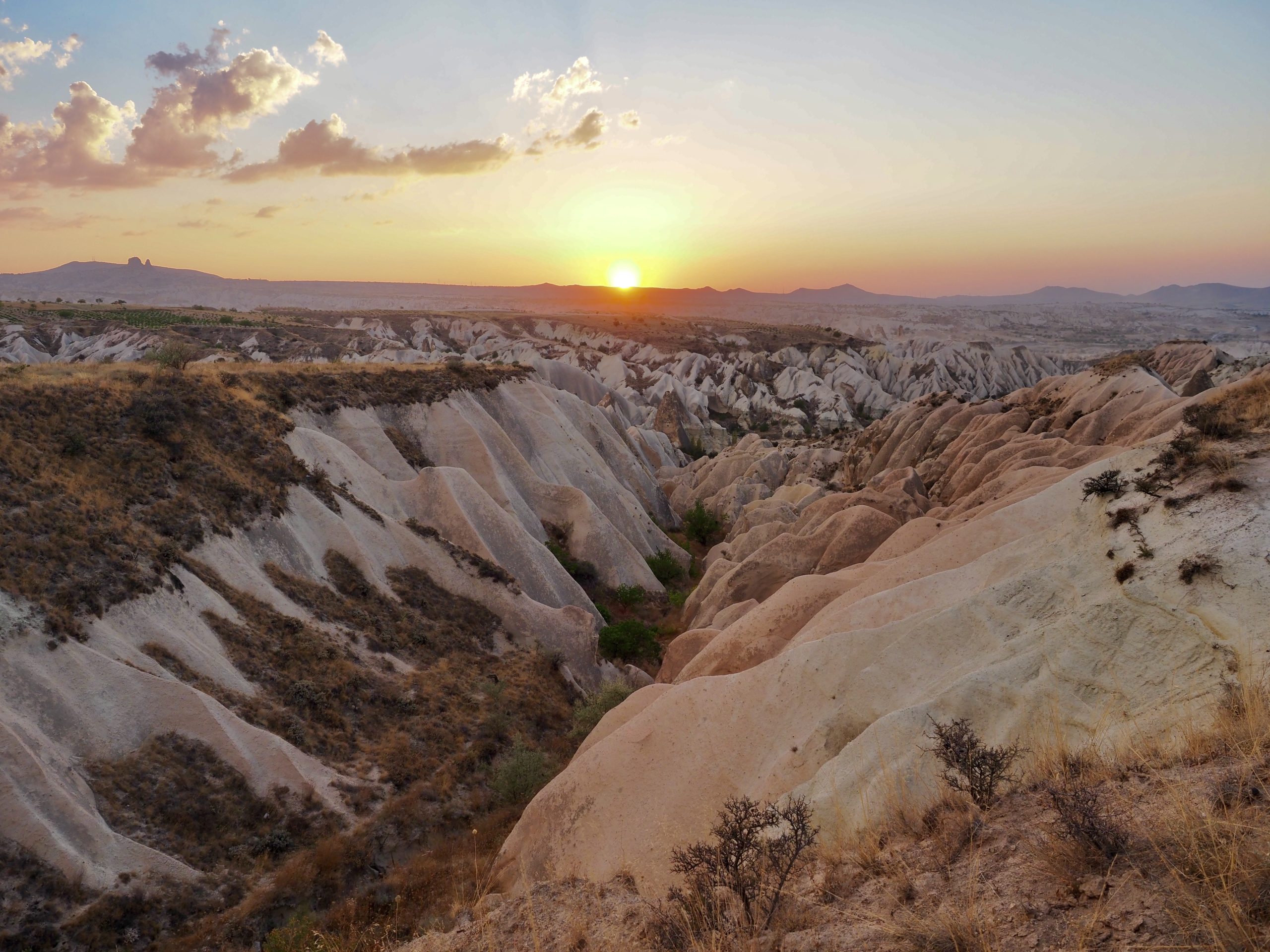 Red & Rose Valley