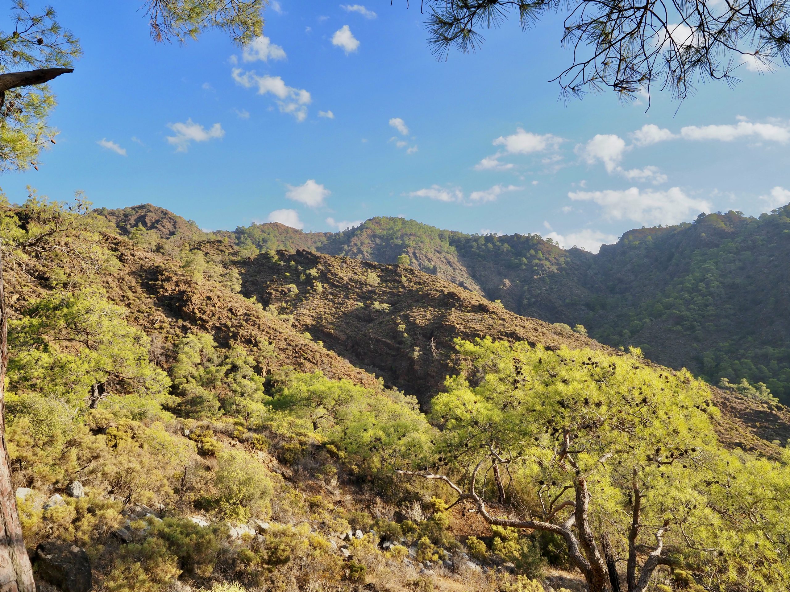 Chimaera Die Erlebnissammler