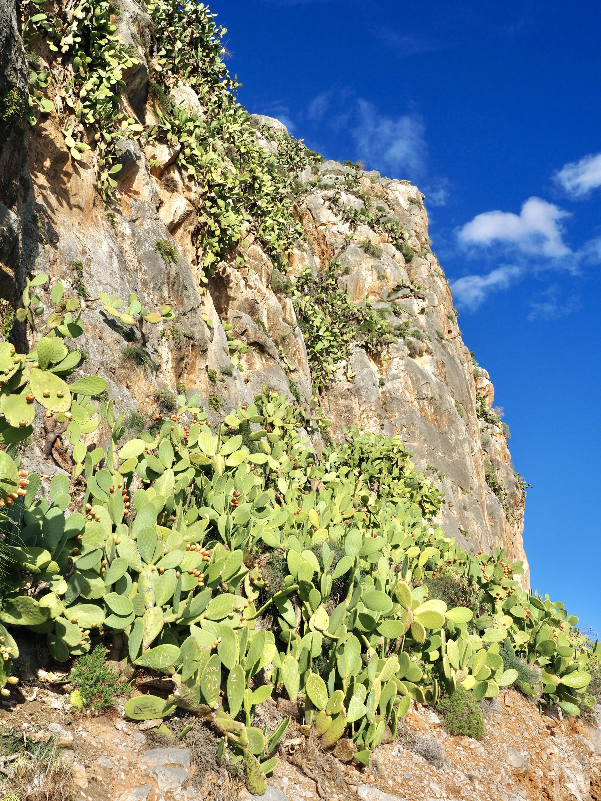 Nafplion & Küstenweg