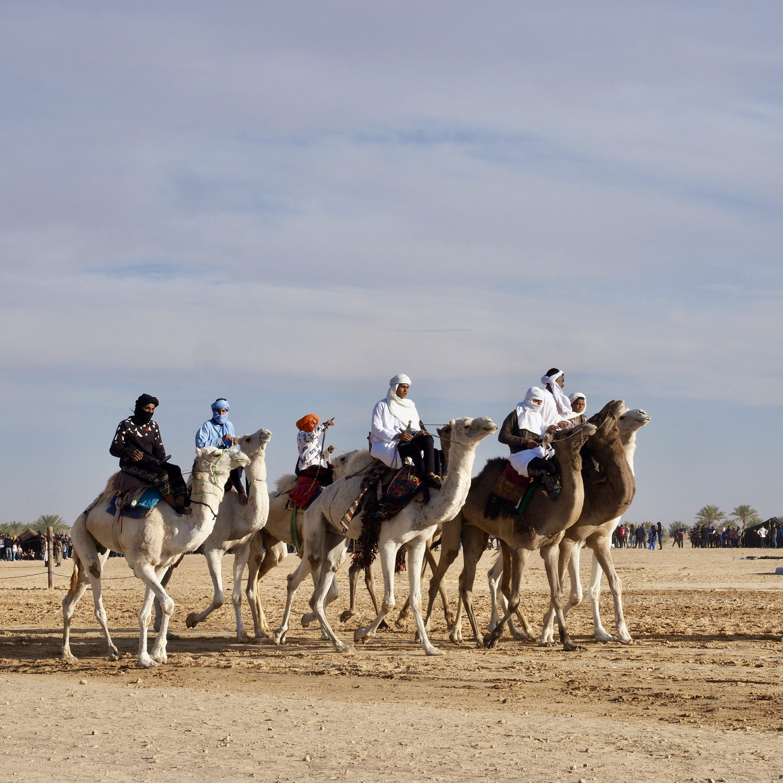 Sahara Festival