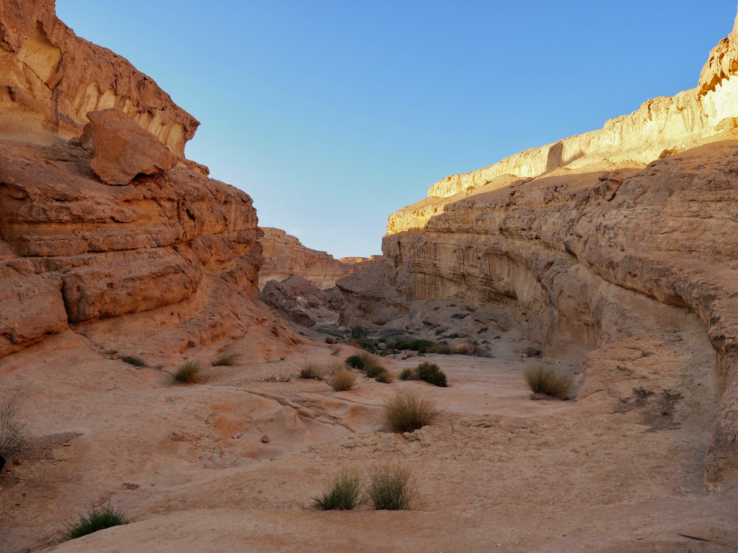 Chott el Djerid & Sidi Bouhlel