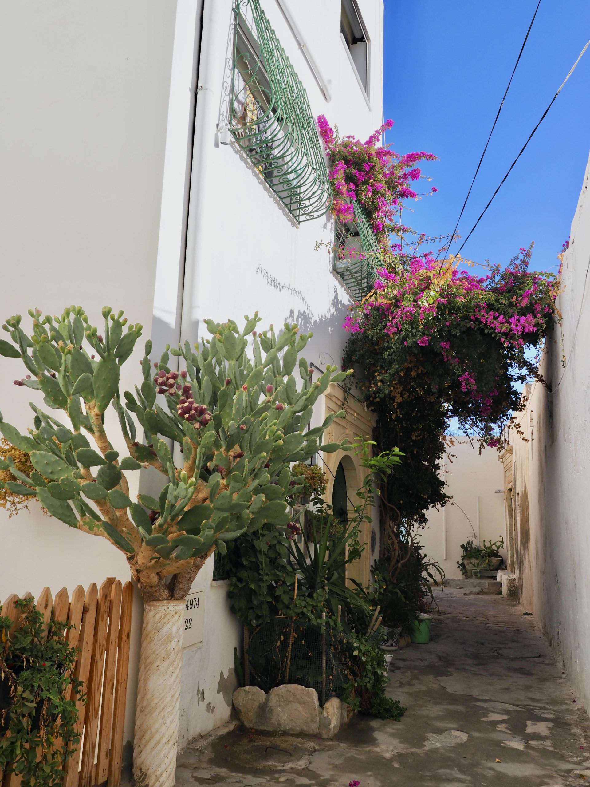 Mahdia Die Erlebnissammler