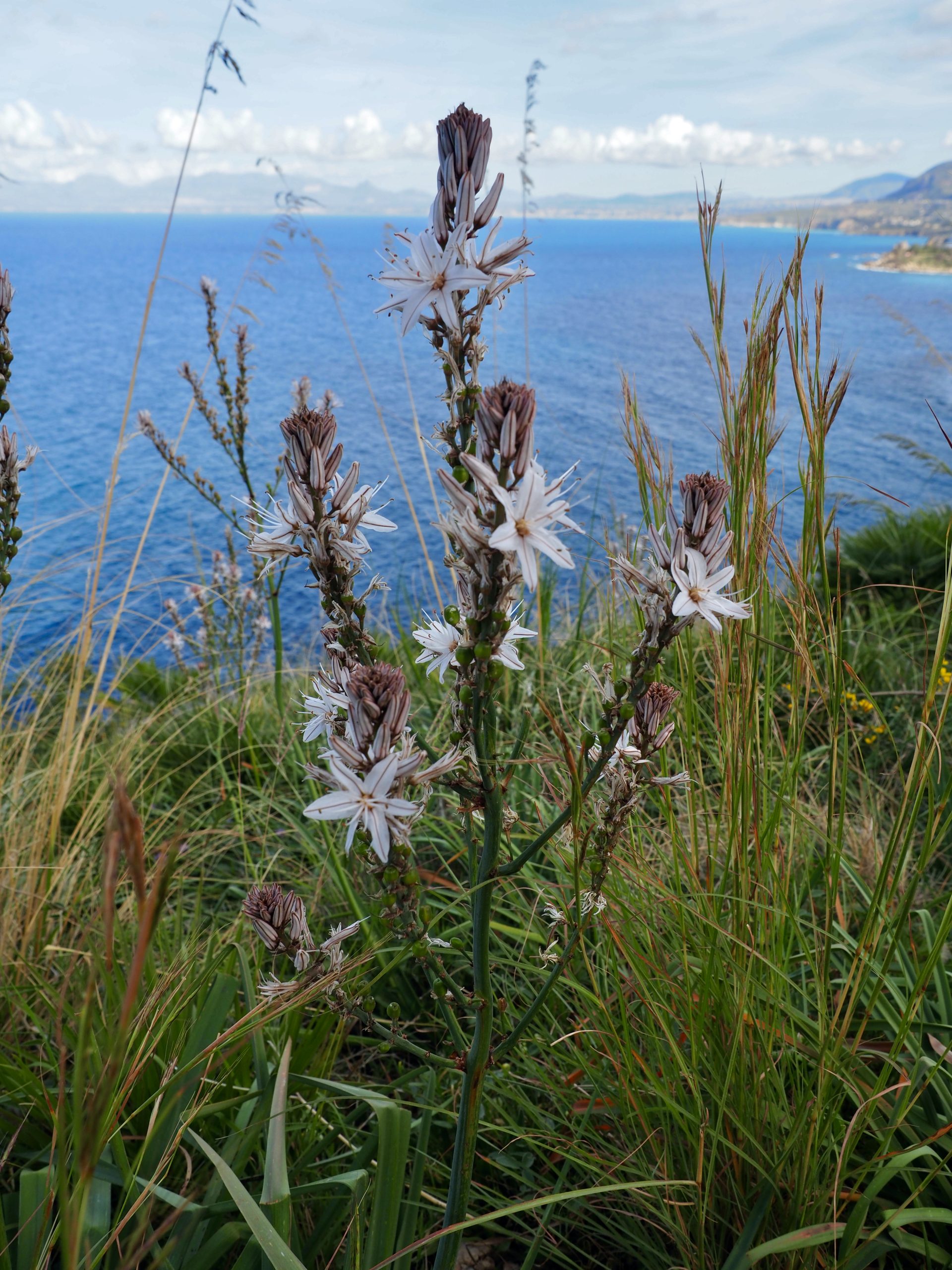 Nationalpark Zingaro