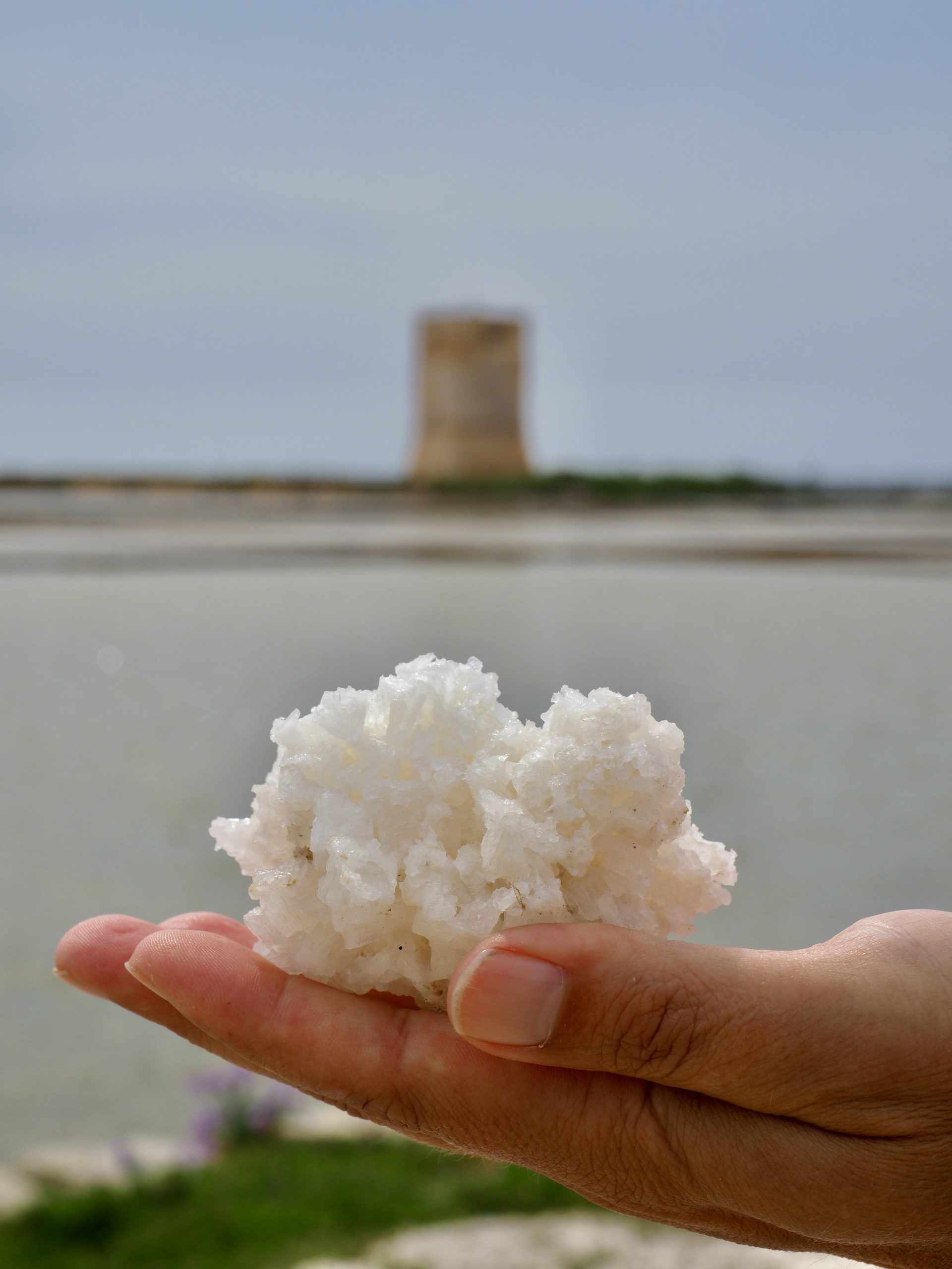 Trapani Salinen