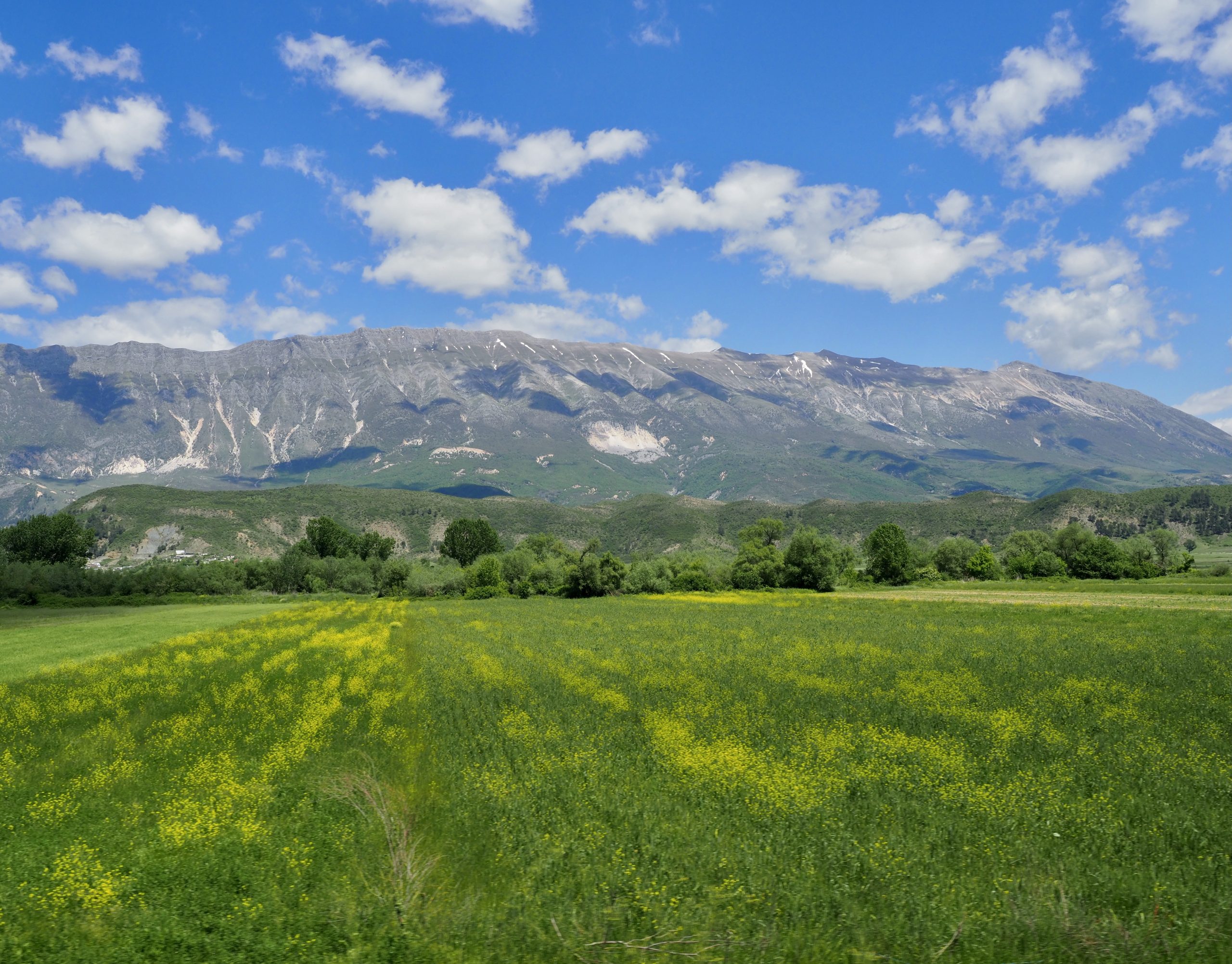 Gjirokaster