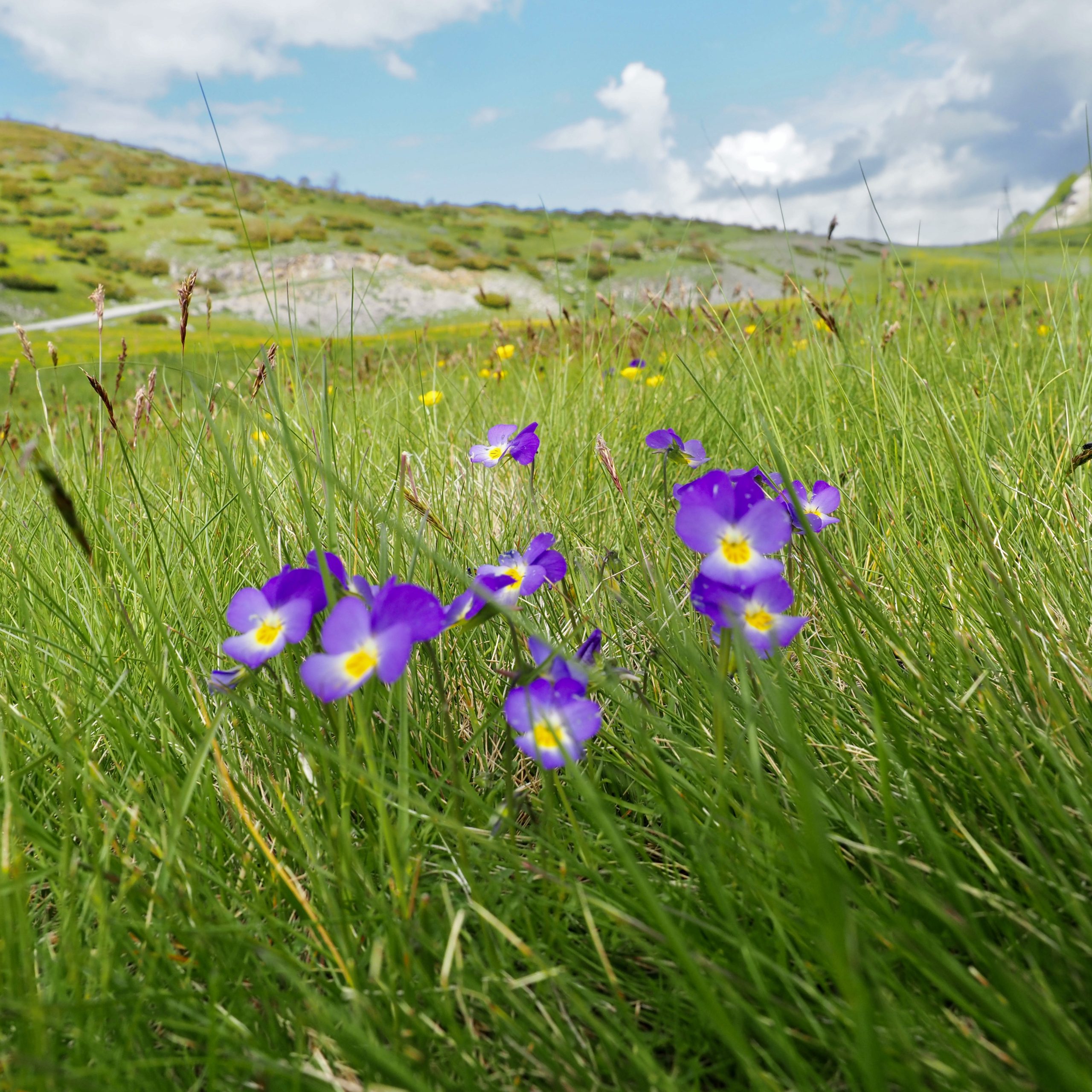 Mavrovo Nationalpark