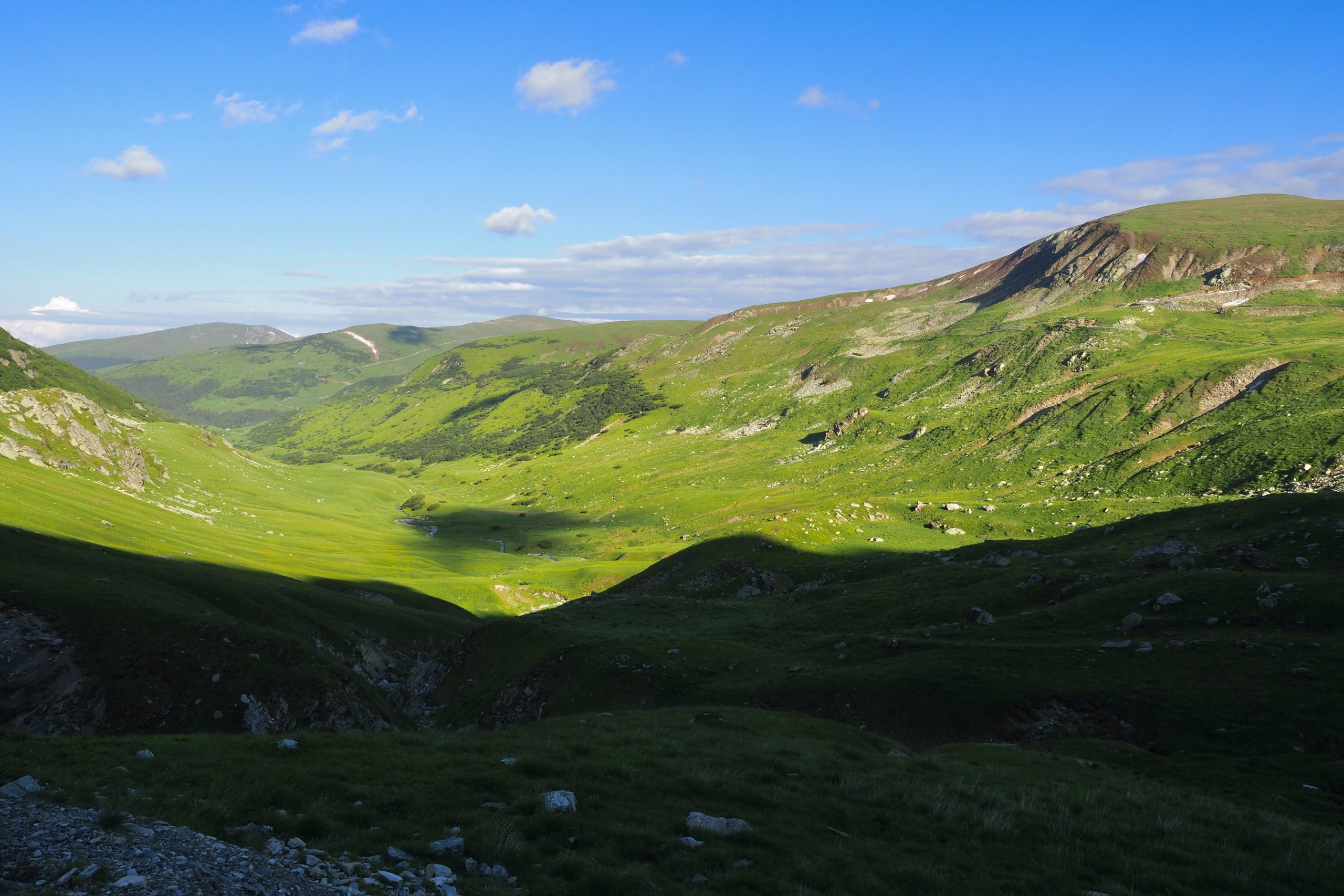 Transalpina