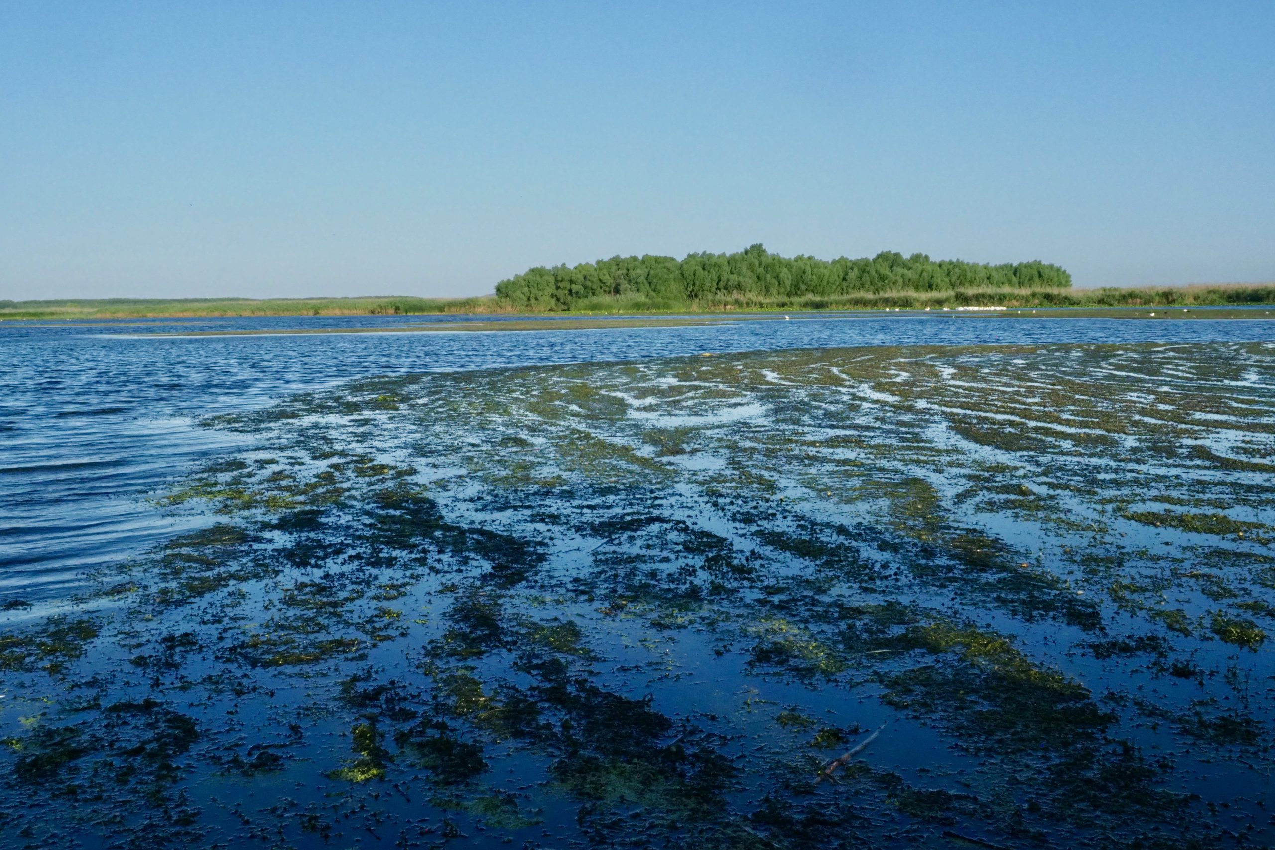 Donaudelta