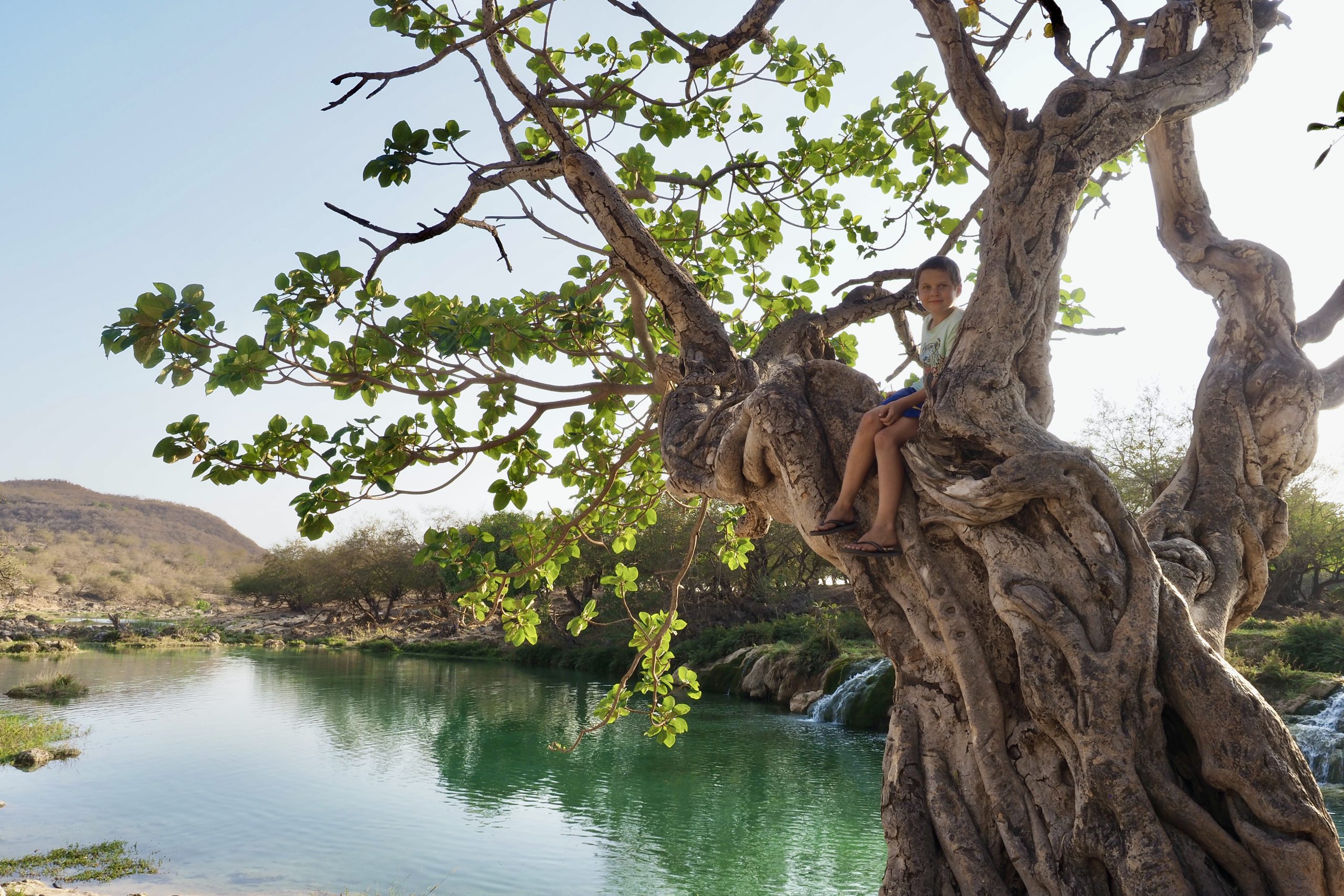 Wadi Darbat