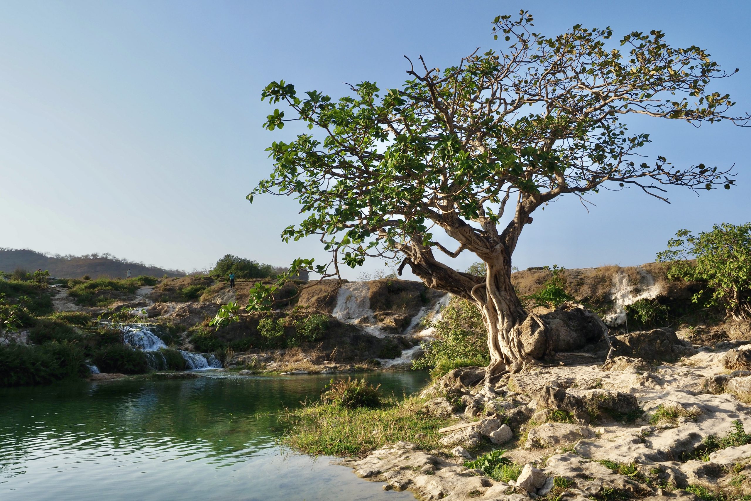 Wadi Darbat