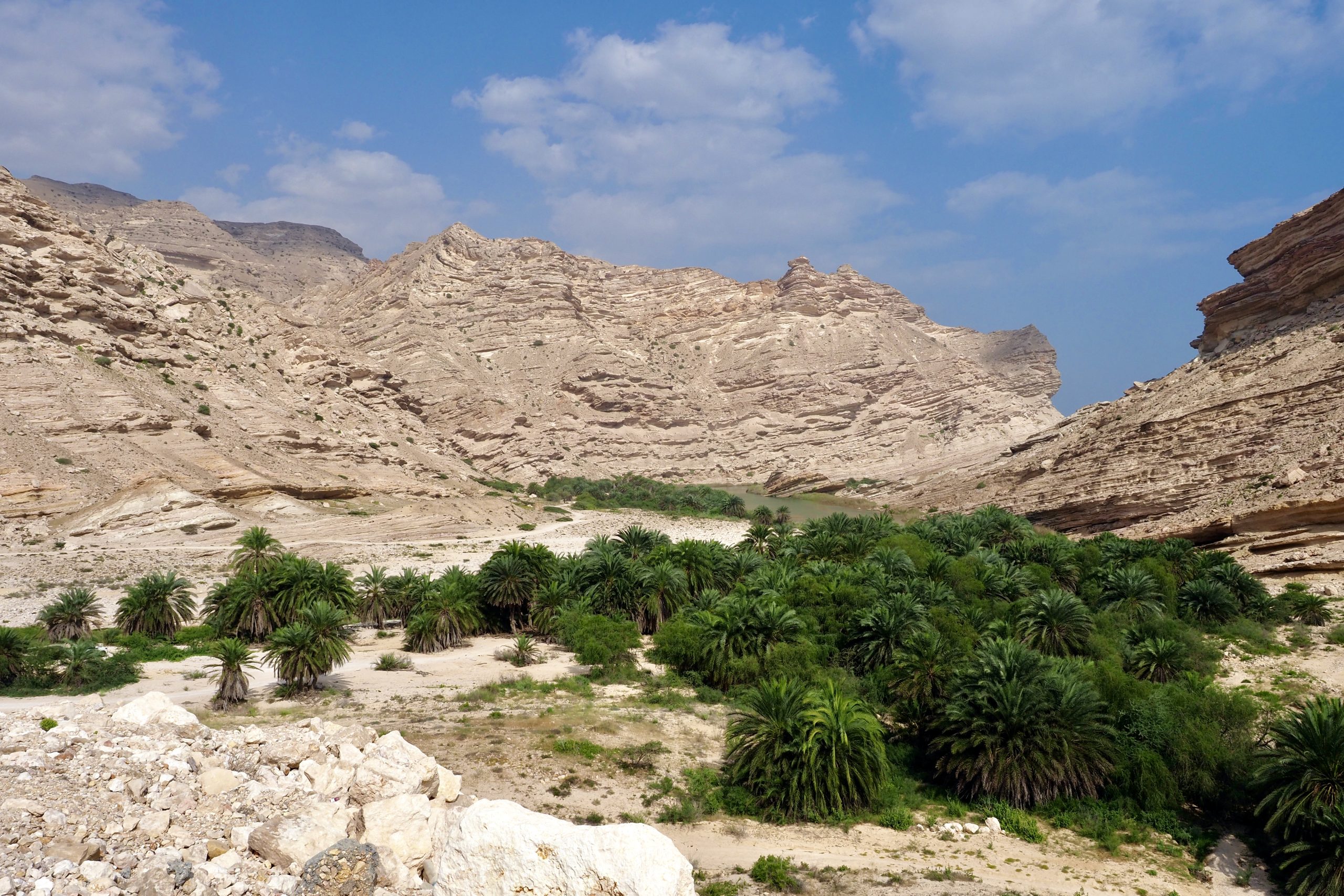 Küstenstrasse Oman