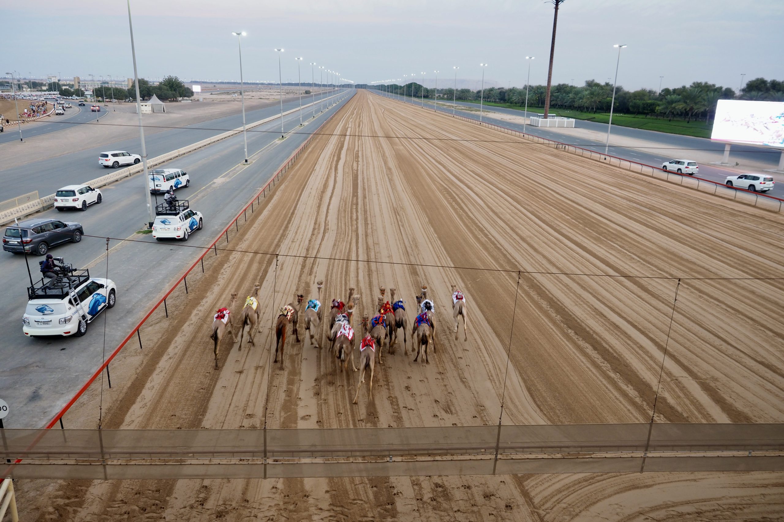 Arabische Emirate/ Dubai Camel Racing Club