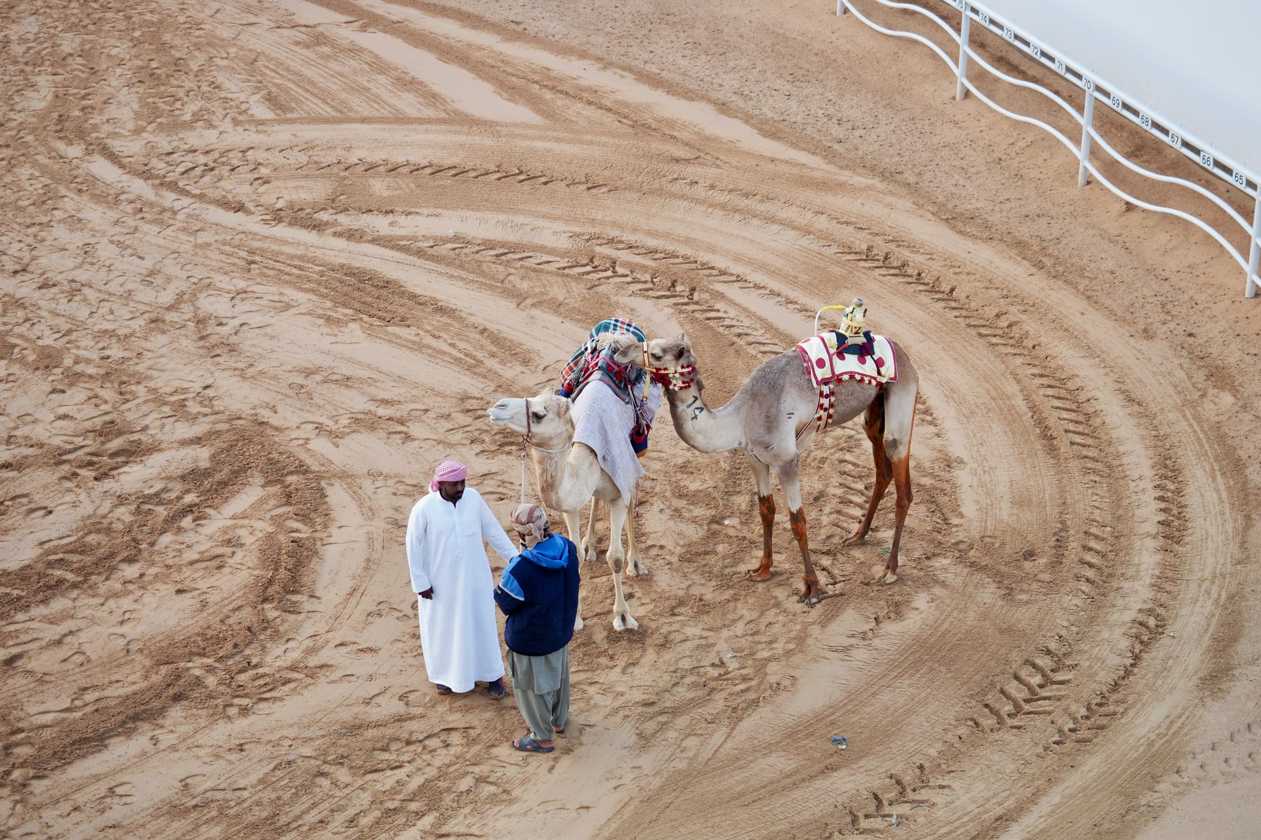 Arabische Emirate/ Dubai Camel Racing Club