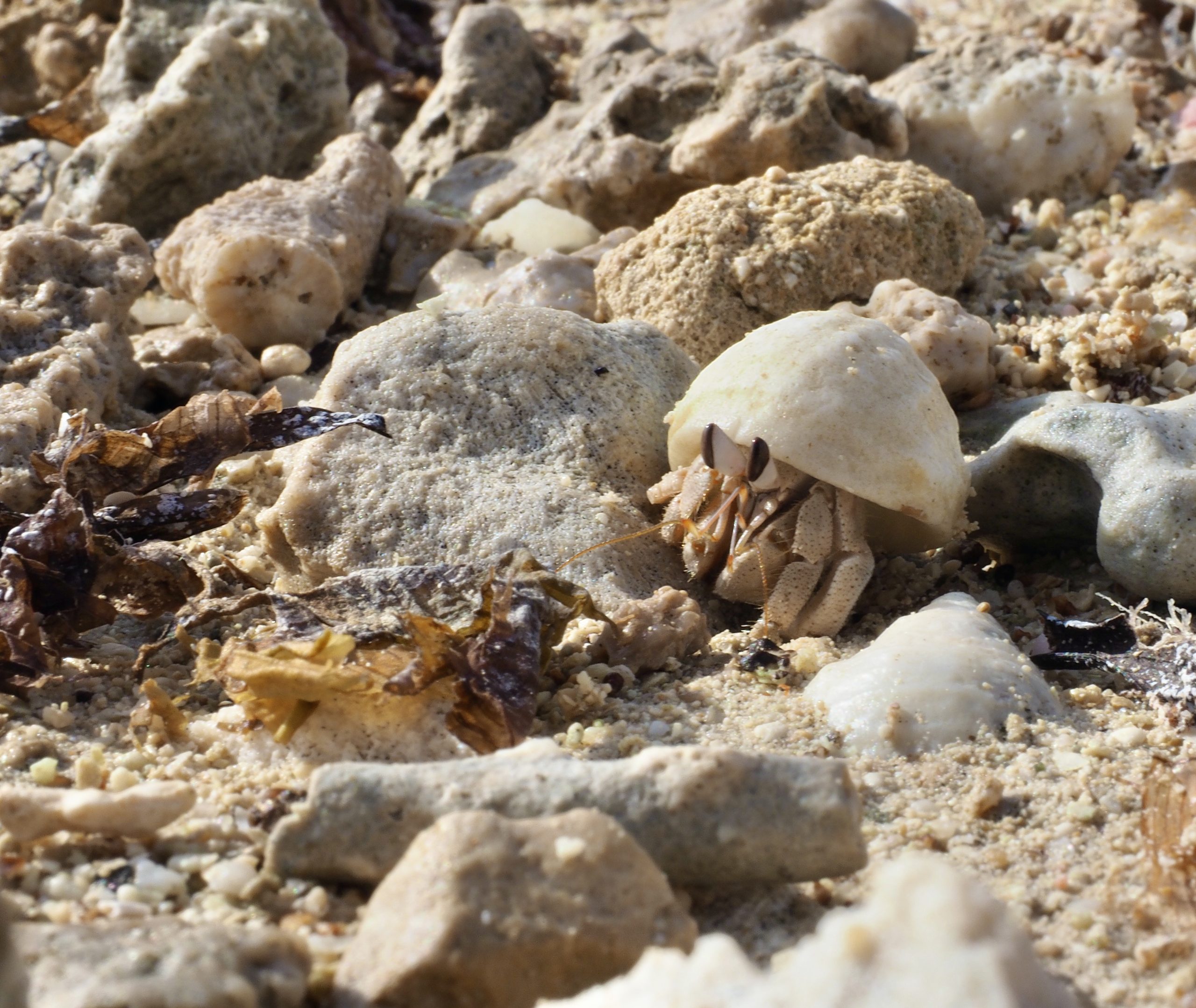 Saudi Arabien / Rotes Meer